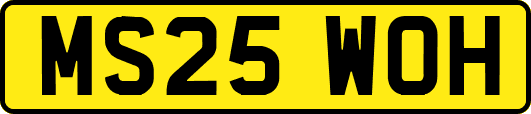 MS25WOH
