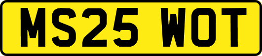 MS25WOT
