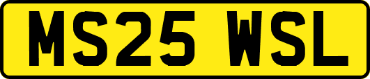 MS25WSL