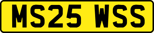 MS25WSS