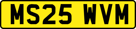 MS25WVM