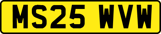 MS25WVW