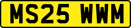 MS25WWM