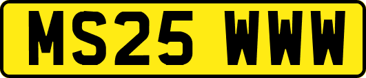 MS25WWW
