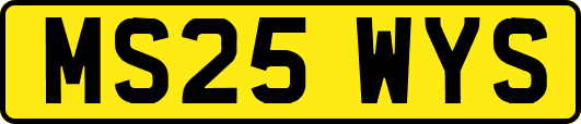 MS25WYS