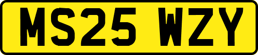 MS25WZY