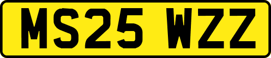 MS25WZZ