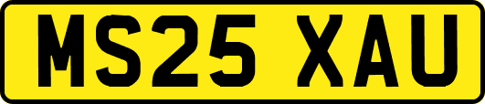 MS25XAU