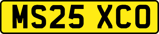 MS25XCO