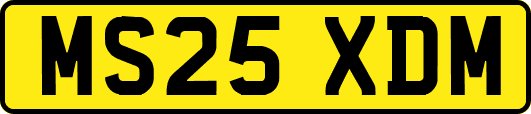MS25XDM