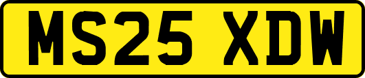 MS25XDW