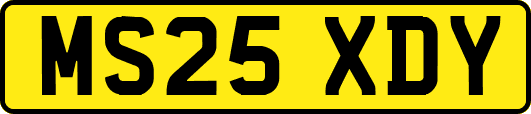 MS25XDY