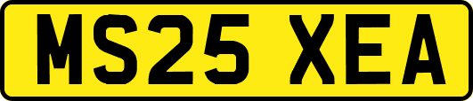 MS25XEA