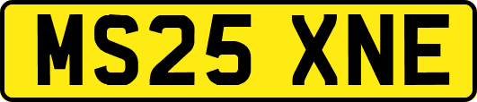 MS25XNE