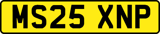 MS25XNP