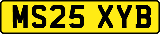 MS25XYB