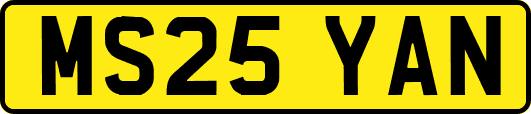 MS25YAN