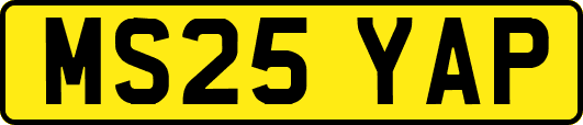 MS25YAP