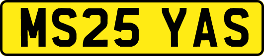 MS25YAS