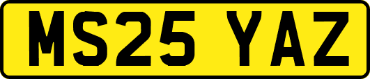 MS25YAZ