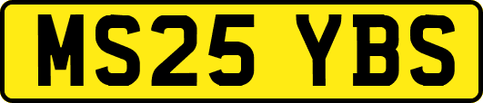 MS25YBS