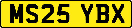 MS25YBX