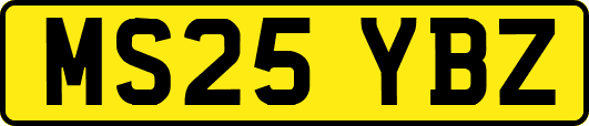 MS25YBZ