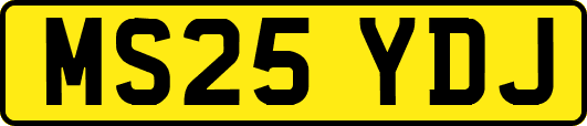 MS25YDJ