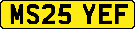 MS25YEF