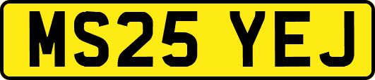MS25YEJ