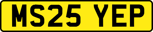 MS25YEP