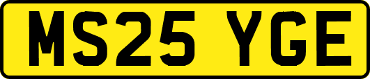 MS25YGE