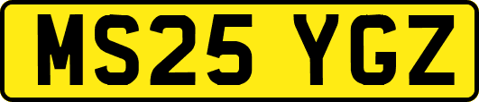 MS25YGZ