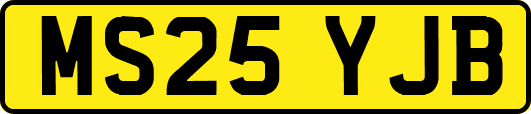 MS25YJB