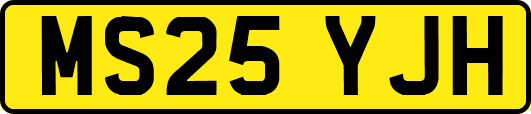MS25YJH
