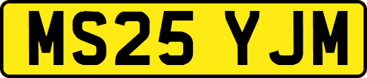 MS25YJM