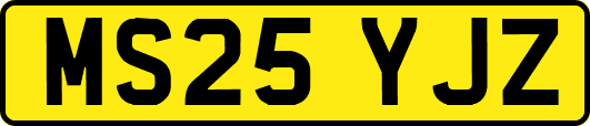 MS25YJZ