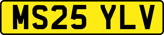 MS25YLV
