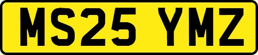 MS25YMZ