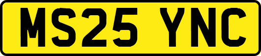 MS25YNC