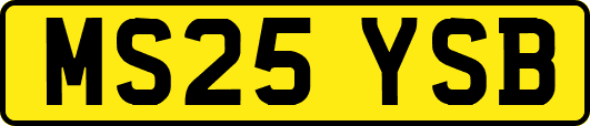 MS25YSB