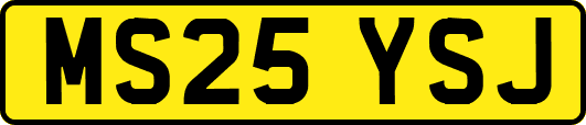 MS25YSJ