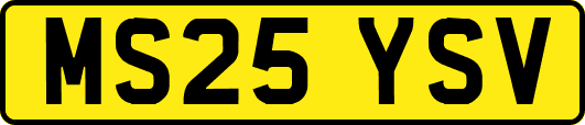 MS25YSV