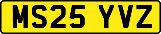 MS25YVZ