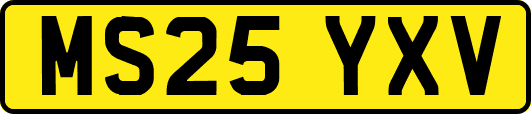MS25YXV