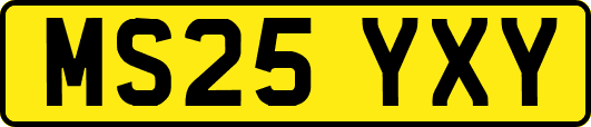 MS25YXY