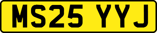 MS25YYJ
