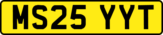 MS25YYT