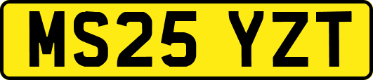 MS25YZT