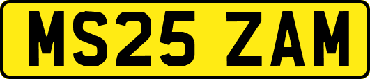MS25ZAM